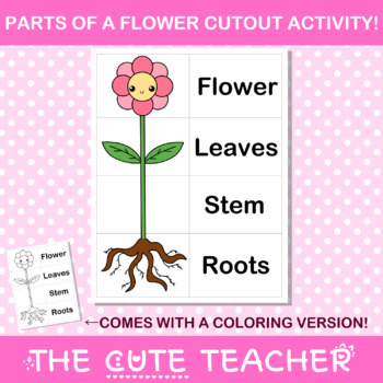 Parts of a flower craft