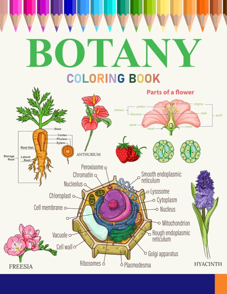 Botany coloring book an botany coloring book plants anatomy flowers leaves trees plant cell and others incredibly detailed self