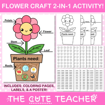 Parts of a flower craft