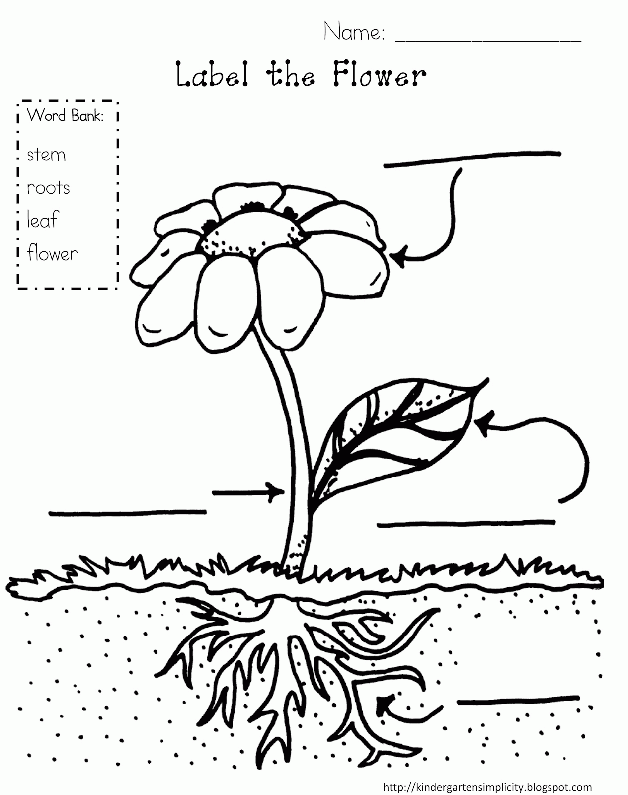 Parts of a plant colouring pages