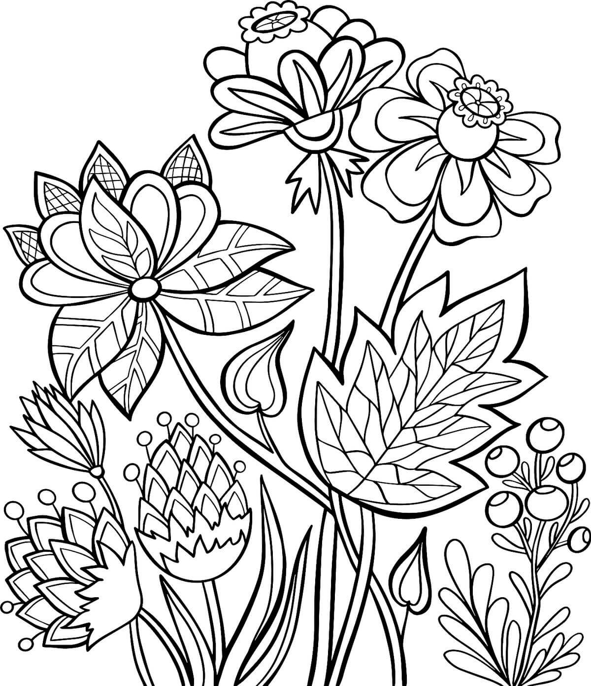 Parts of a flower coloring page