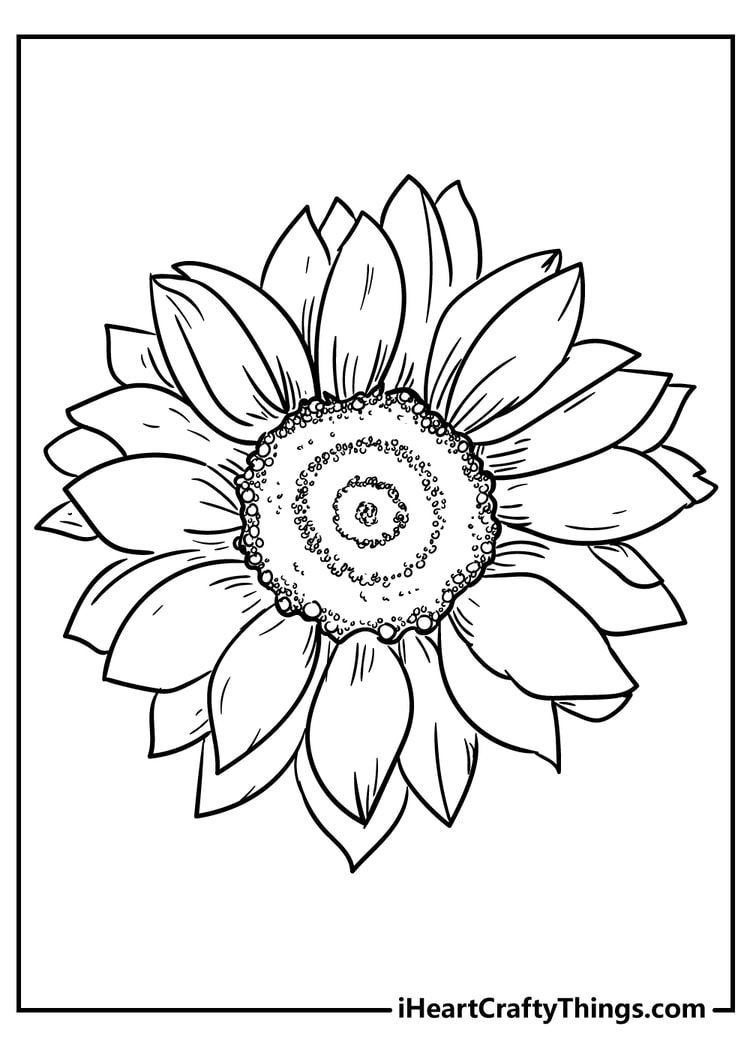 Flower coloring pages free printables