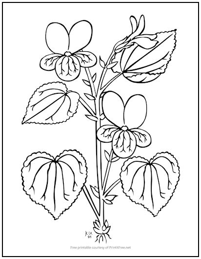 Flower stem coloring page print it free