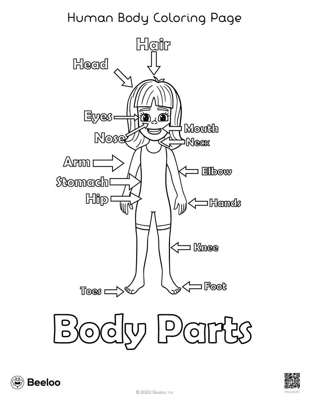 Human body