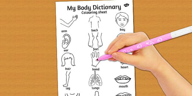 My body dictionary coloring sheet teacher