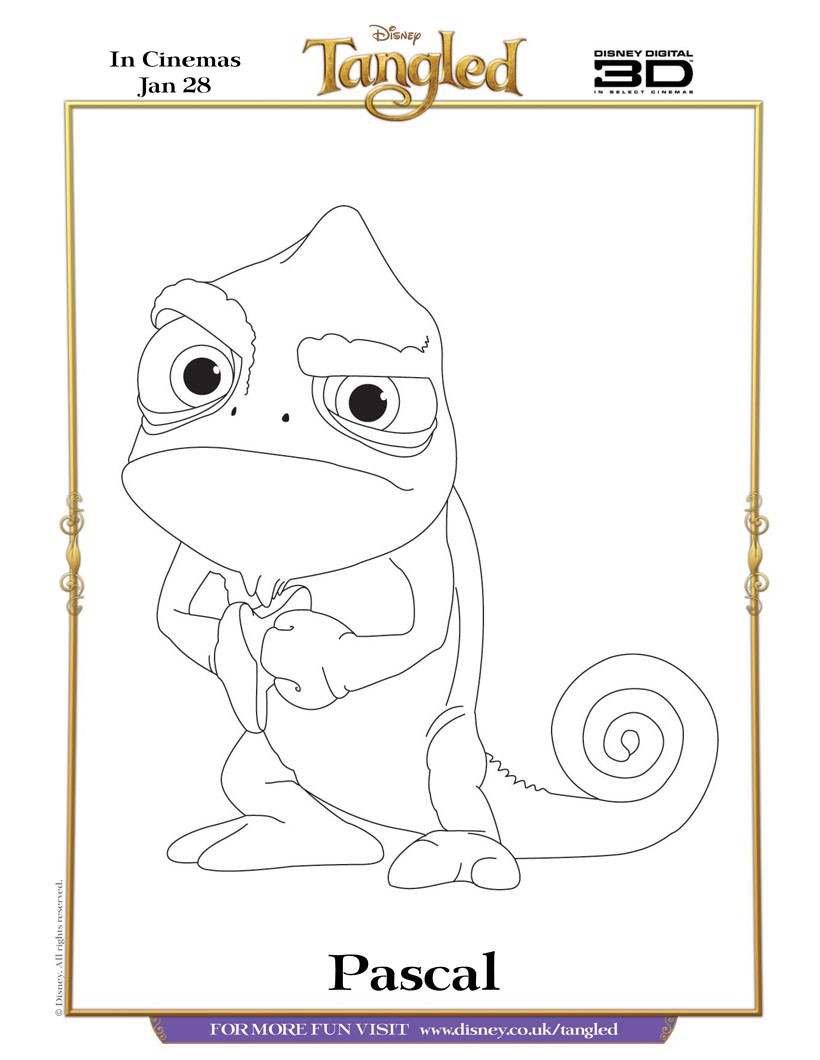 Pascal coloring