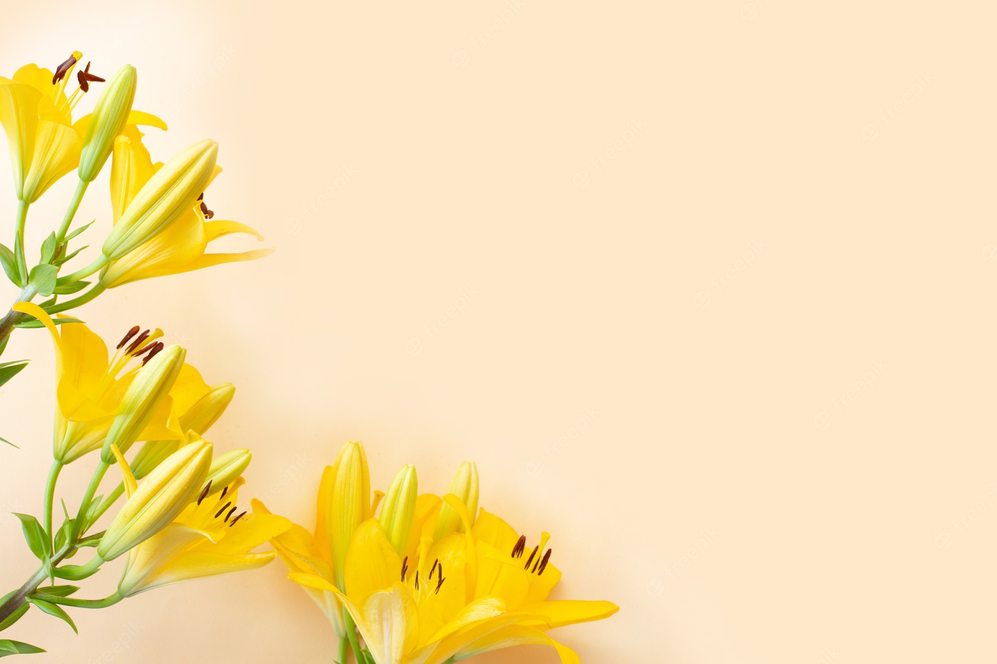 Yellow Lily Flower Bouquet Vector Illustration Of Yellow, 48% OFF