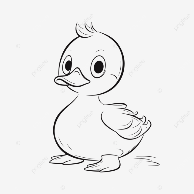 Dibujo de lindos patitos para colorear pãginas quema vector png dibujos dibujo de pato dibujo de ala dibujo de patos png y vector para dcargar gratis