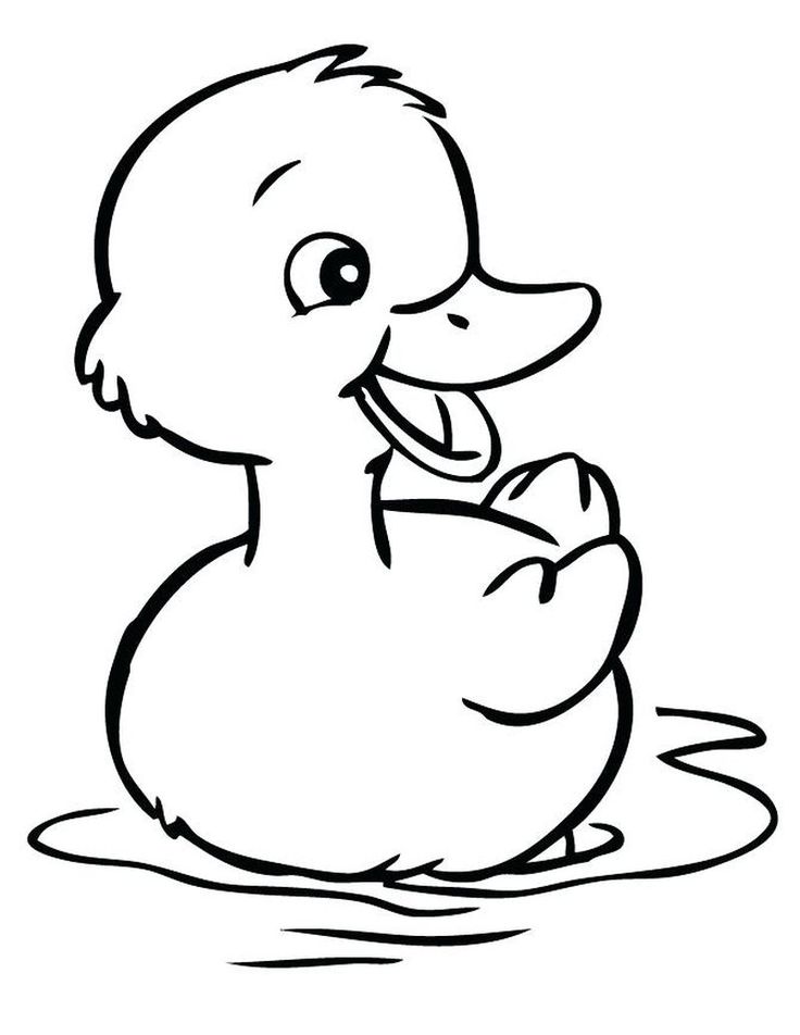 Cute duck loring pages pdf