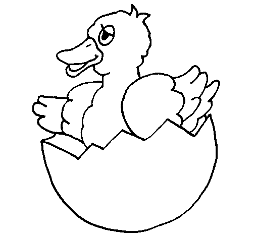 Desenho de patito na casca de ovo pintado e colorido por usuãrio não registrado o dia de agosto do