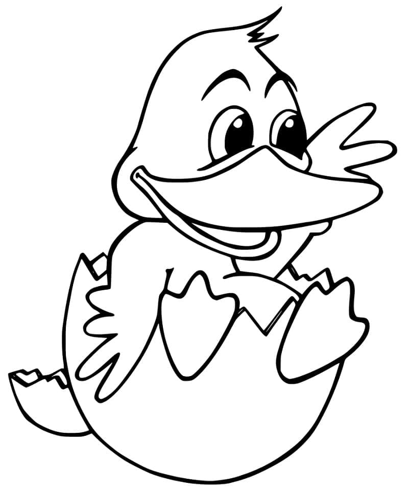 Cartoon duckling coloring page