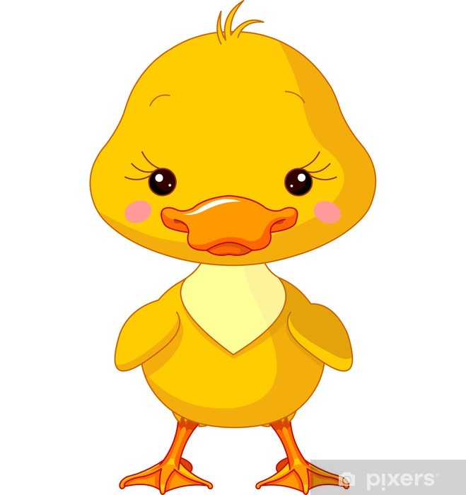 Sticker farm animals duck