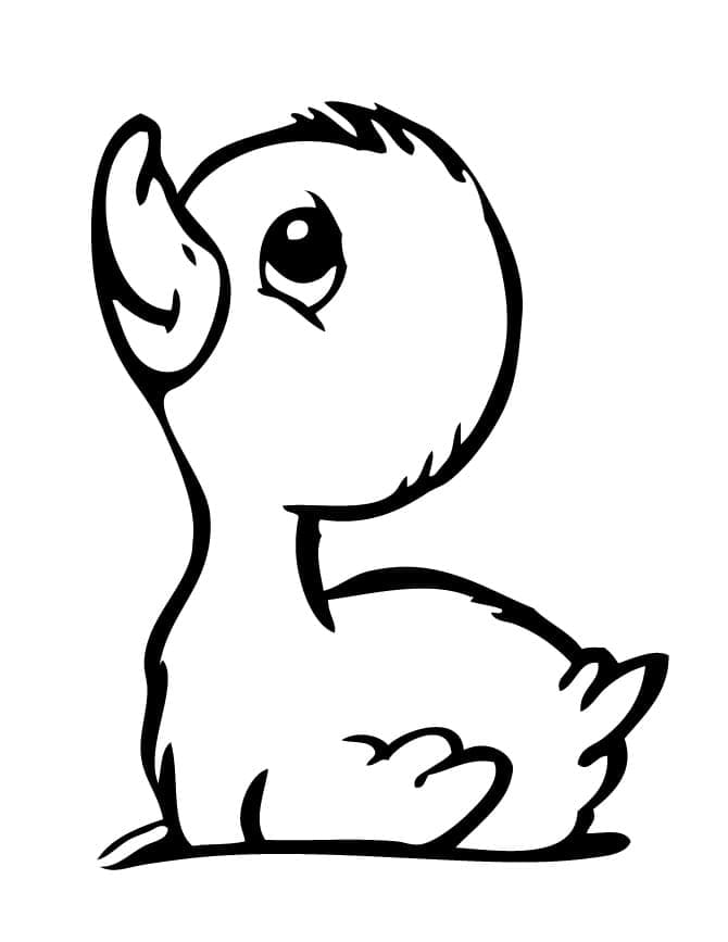 Basic duckling coloring page