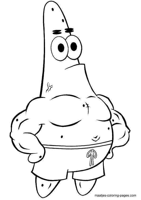 Online coloring pages coloring page muscular patrick spongebob download print coloring page