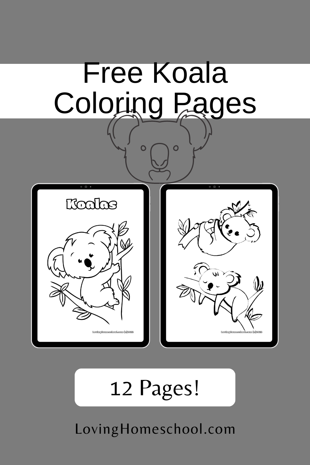 Koala coloring pages