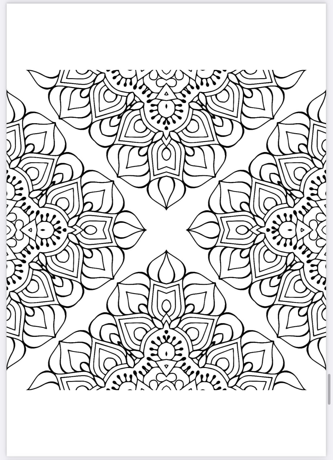 Adult coloring book