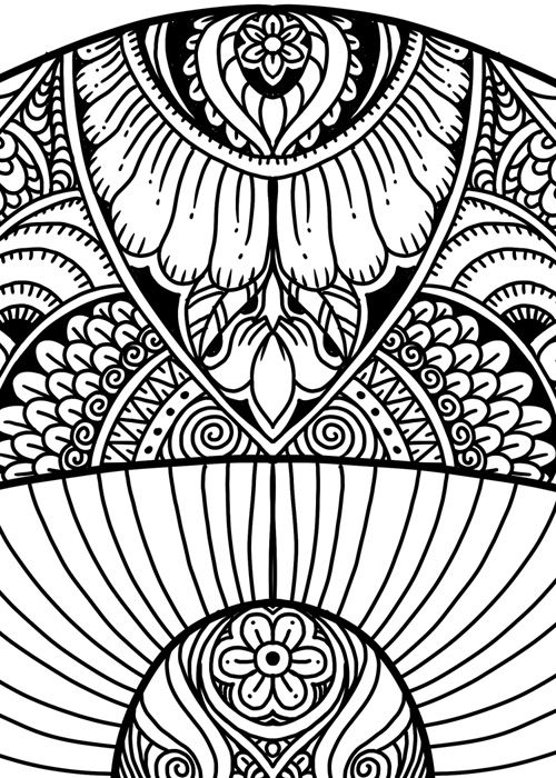 Mushrooms doodle art adult coloring page karyn lewis illustration