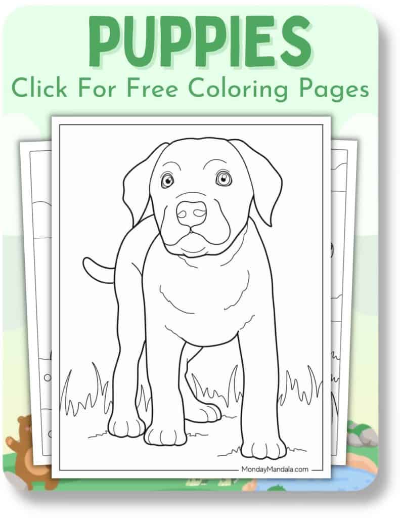 Animal coloring pages free pdf printables