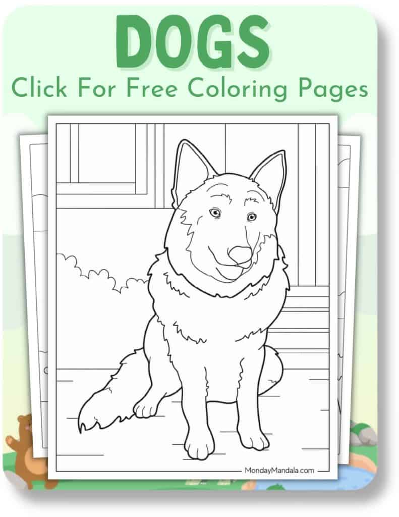 Animal coloring pages free pdf printables