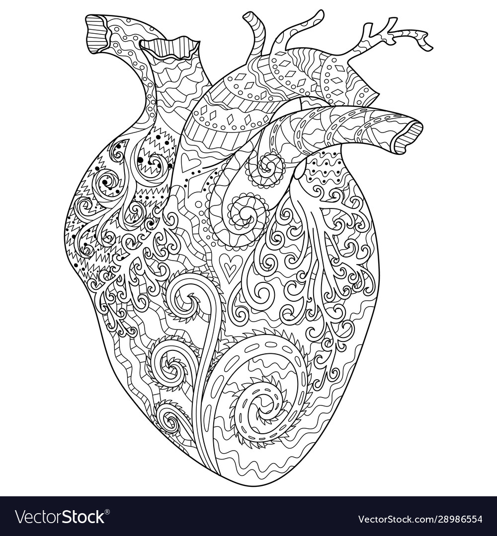 Human patterned heart for coloring book royalty free vector