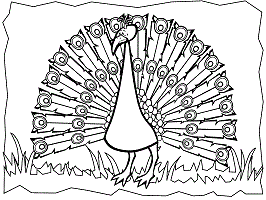 Tropical birds coloring pages