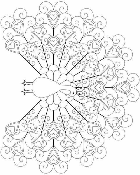 Dibujo pavo real peacock coloring pages coloring pages quilling patterns