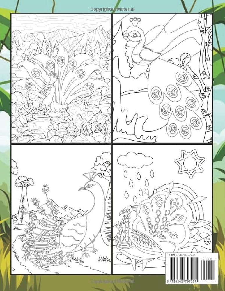 Pavo coloring book this beautiful pavo coloring books designs to color for pavo lover holt marlon books