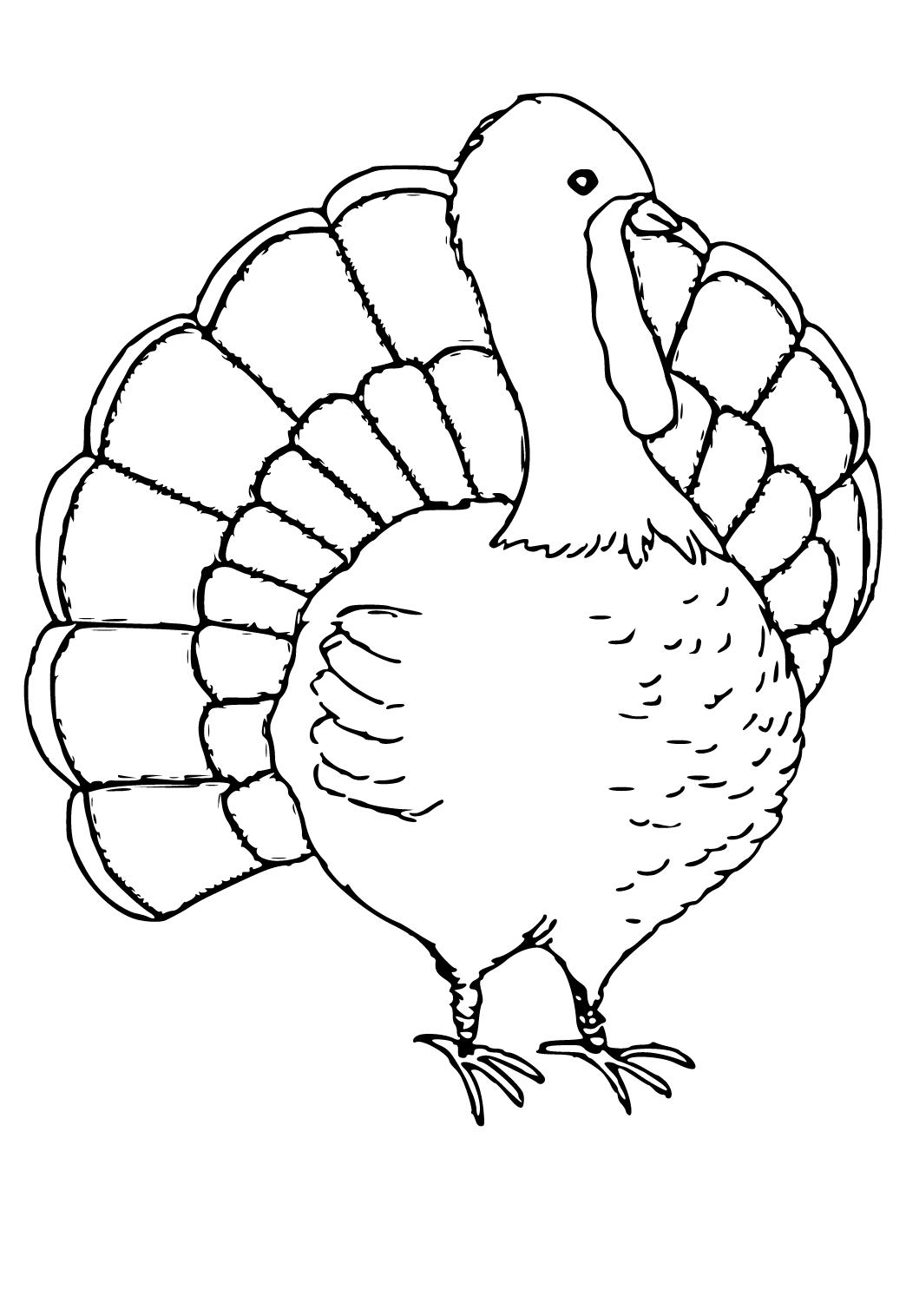Free printable turkey easy coloring page for adults and kids
