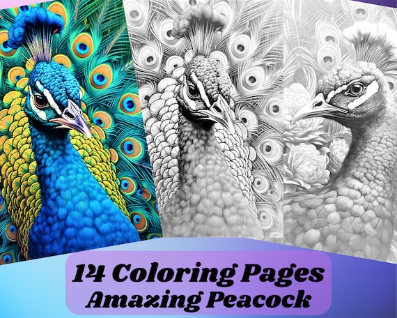 Coloring pages for adult coloring templates grayscale coloring book grayscale page instant download grayscale pages amazing peacock