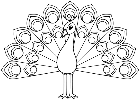 Peacock coloring page free printable coloring pages