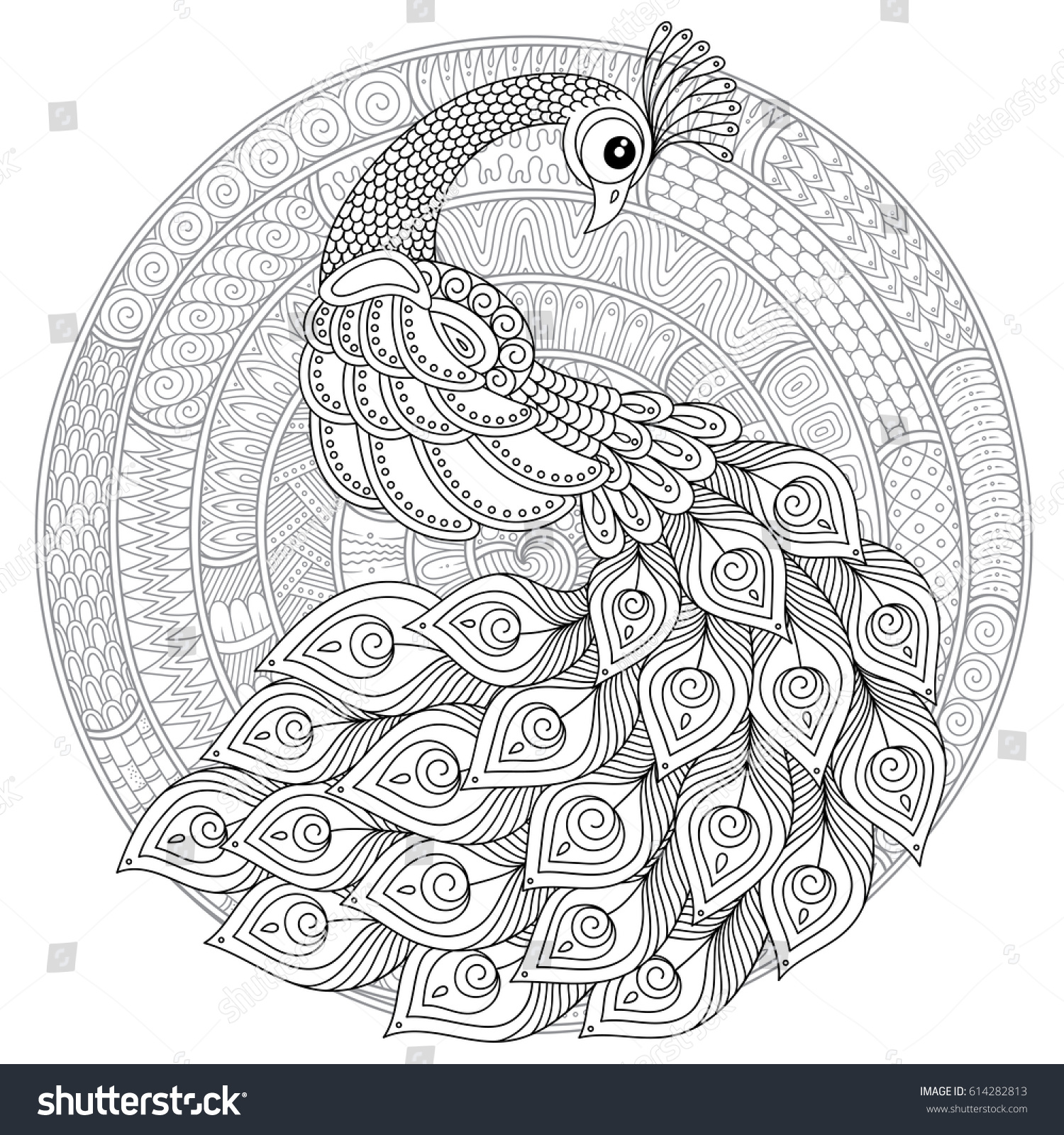 Pavo real mandala images stock photos d objects vectors