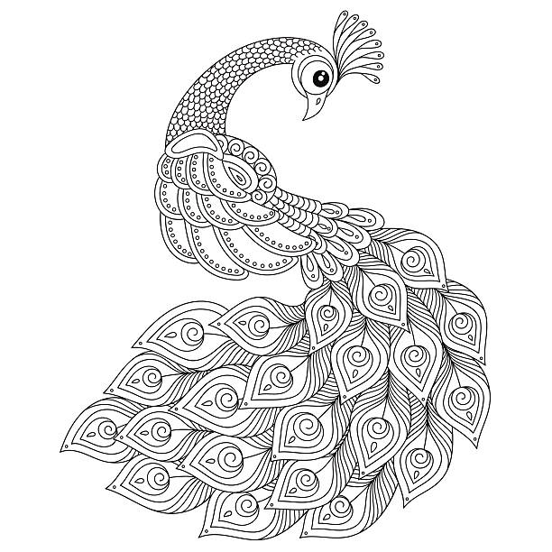 Peacock adult antistress coloring page stock illustration