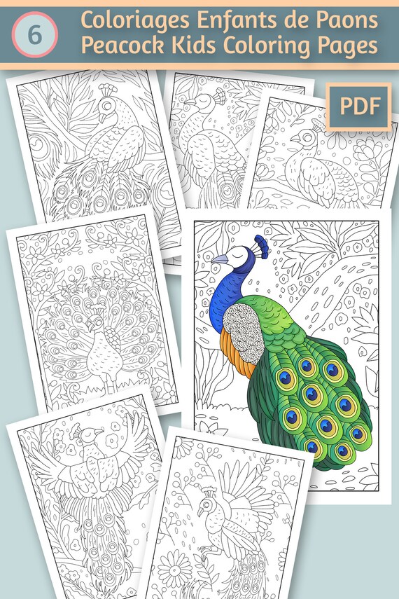 Peacock birds coloring pages for kids coloring book for kids coloring book pdf coloring sheets printable coloring download instant download