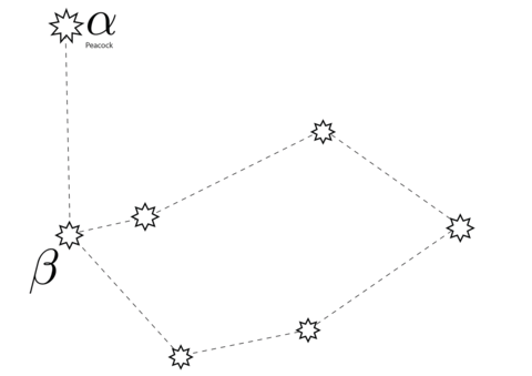 Pavo constellation coloring page free printable coloring pages
