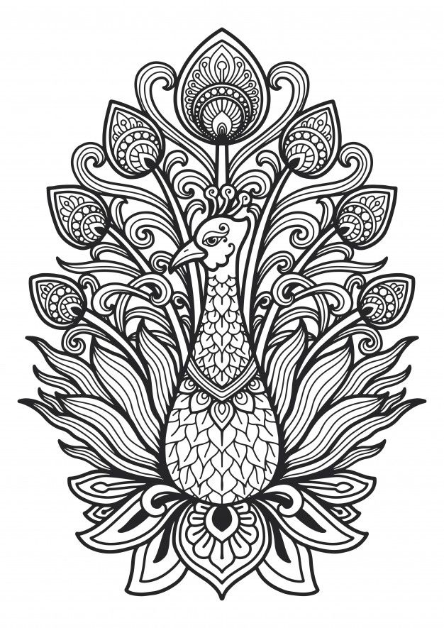 Premium vector mandala for coloring page peacock design mandalas para colorear animales pavo real para colorear pãginas para colorear
