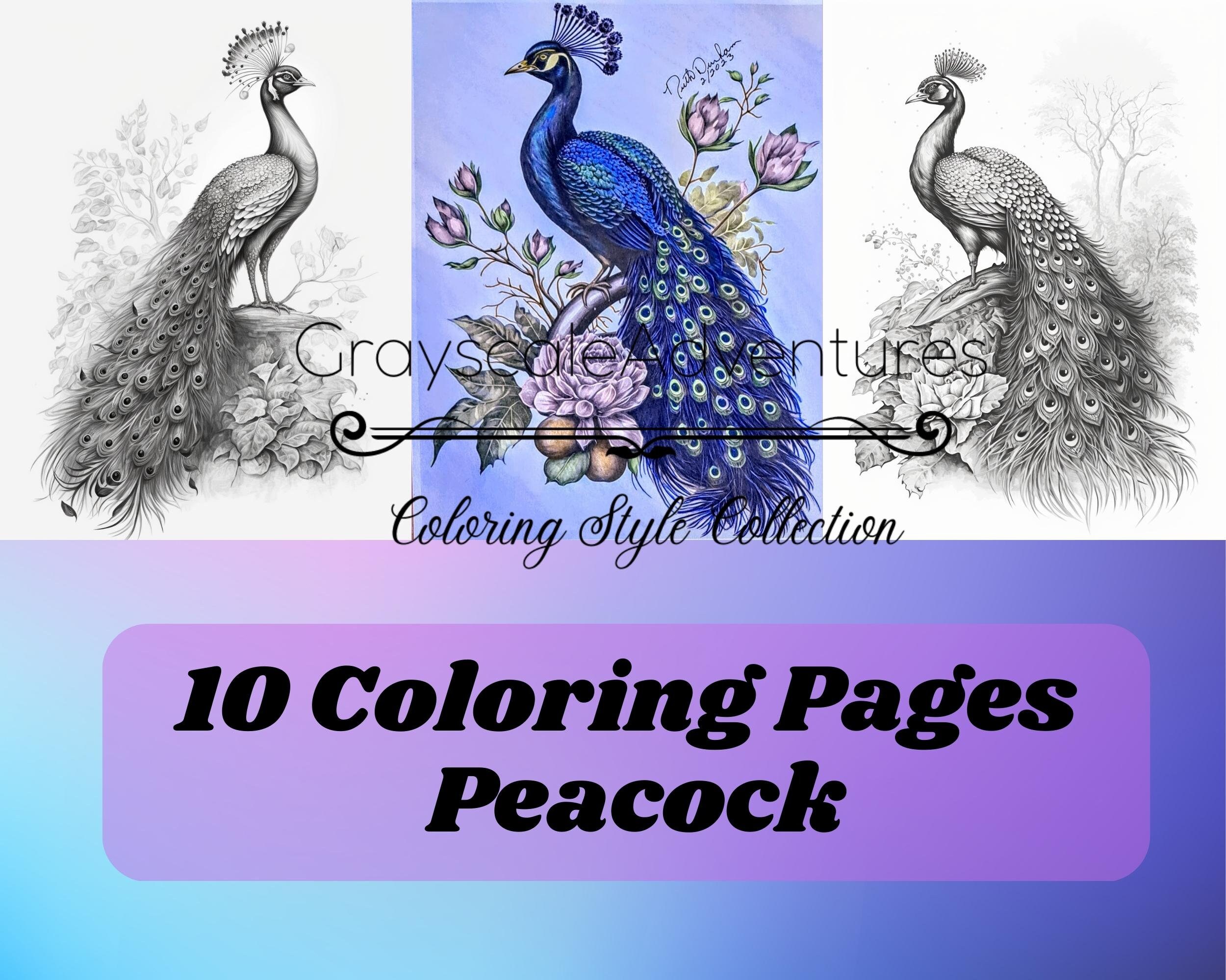 Coloring pages for adult coloring templates grayscale coloring book digital wall art grayscale page for instant download amazing peacock