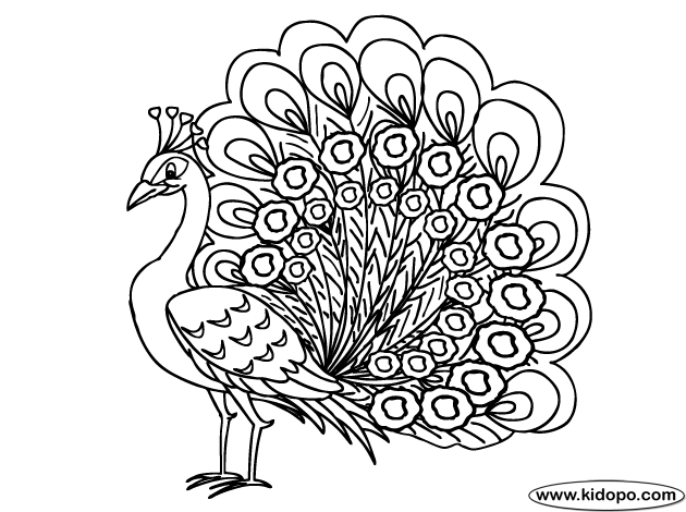 Colorful peacock coloring page