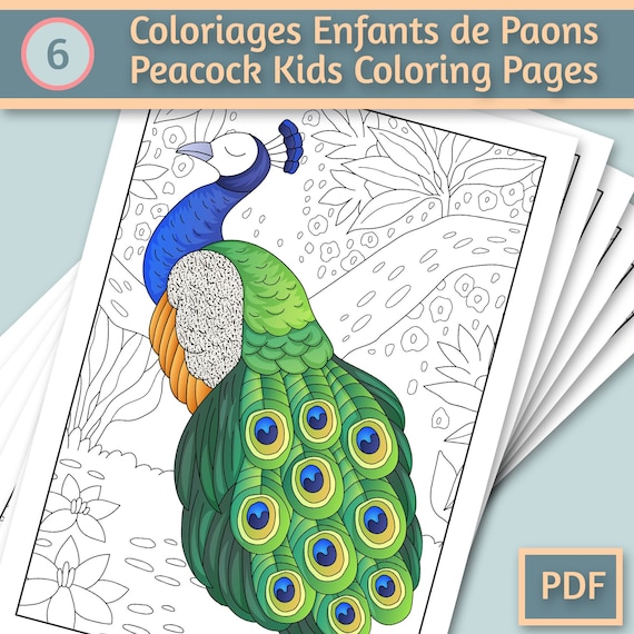 Pãginas para colorear de pãjaros pavo real para niãos nião para colorear pdf colorear digital para imprimir lindo regalo infantil