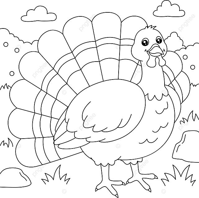 Pãgina para colorear de pavo para niãos quema pollo pavo vector png contorno pollo turquãa png y vector para dcargar gratis