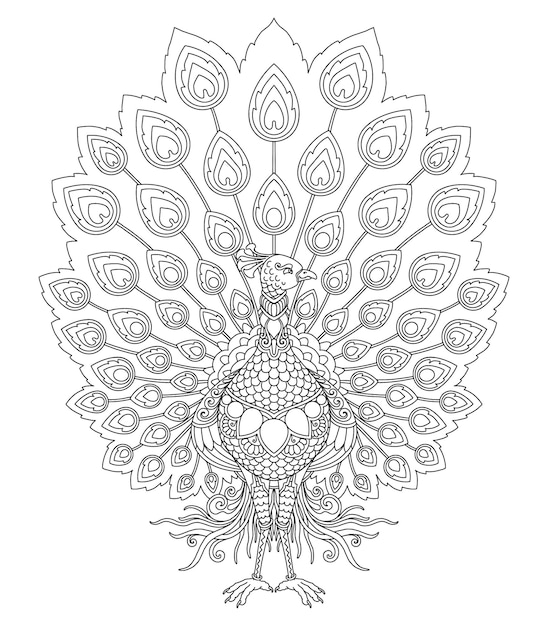 Premium vector peacock mandala design for coloring page print