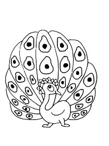 Peacock coloring pages for kids