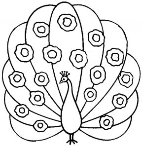 Peacock coloring pages for kids