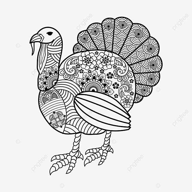 Dibujo de pavo para colorear adultos png dibujos dibujo de pavo dibujo clave dibujo de anillo png y vector para dcargar gratis