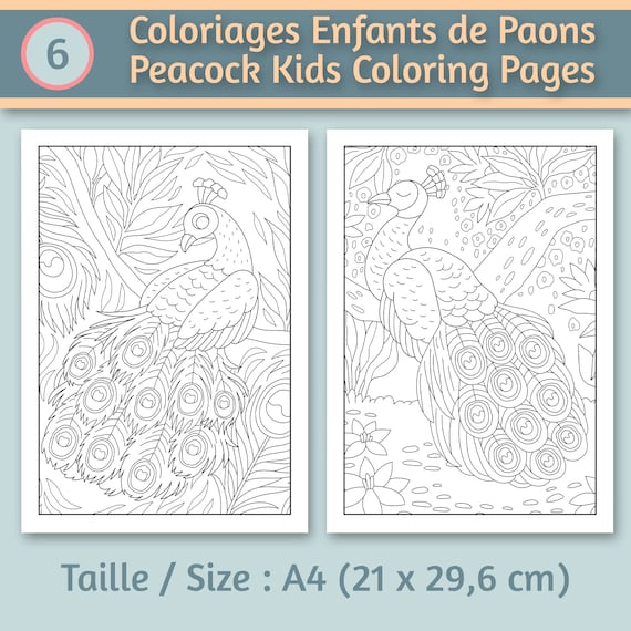 Pãginas para colorear de pãjaros pavo real para niãos nião para colorear pdf colorear digital para imprimir lindo regalo infantil