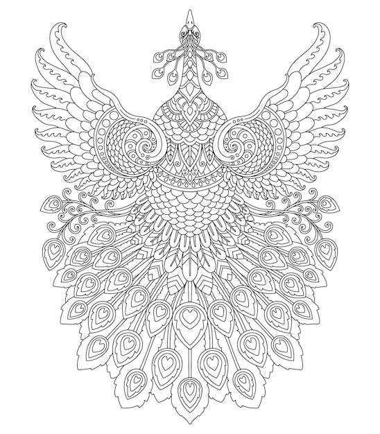 Diseão de mandala de pavo real para imprimir pãgina para colorear vector premium