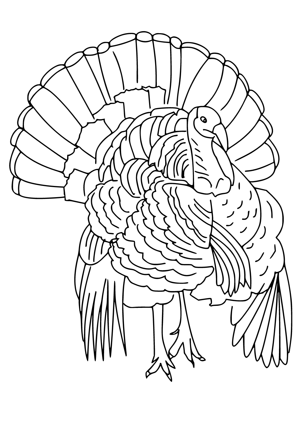 Dibujo e imagen pavo plumas para colorear y imprimir gratis para adultos y niãos