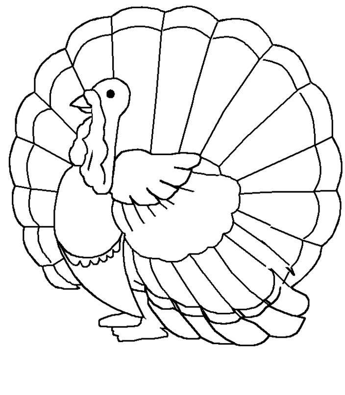 Dibujo de pavo para colorear y pintar