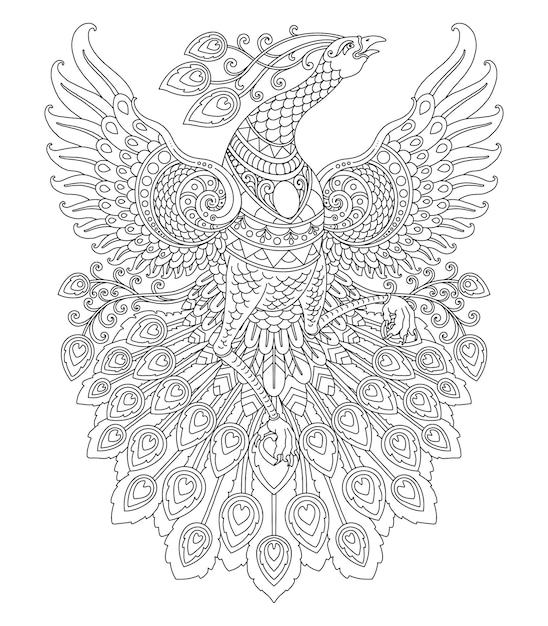 Diseão de mandala de pavo real para imprimir pãgina para colorear vector premium