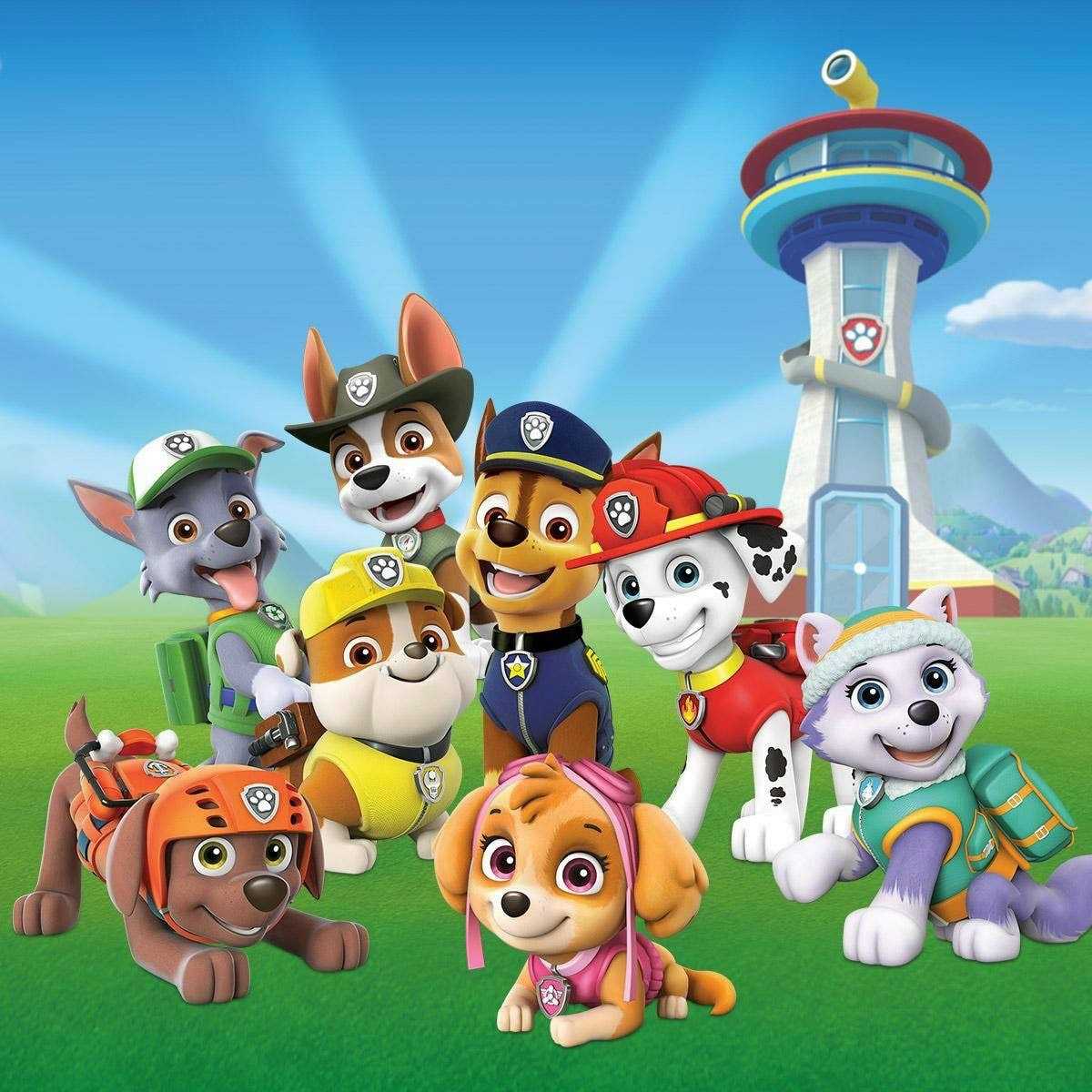 Download Free 100 + paw patrol android Wallpapers