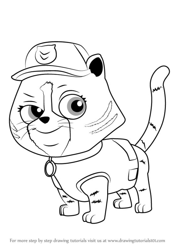 Learn how to draw cat rocky from paw patrol paw patrol step by step drawing tutorials paw patrol rocky paw patrol cat drawing